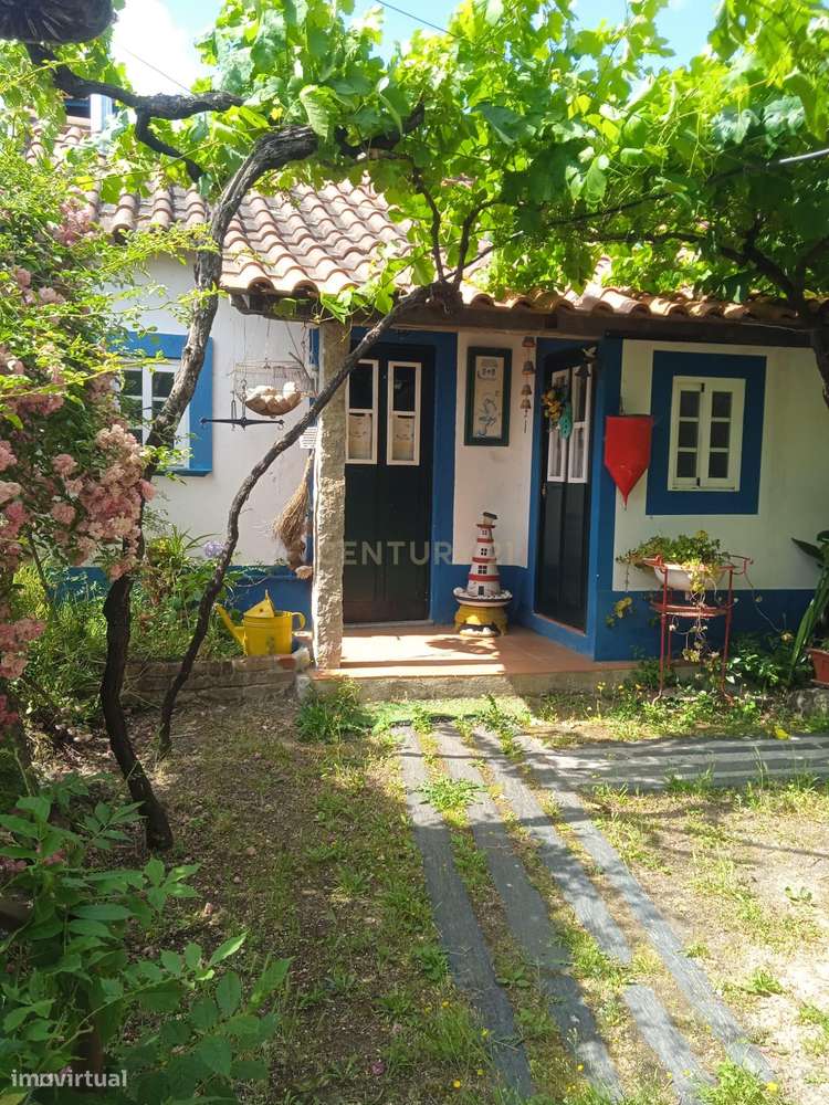 Quintinha - São Tomé de Covelas, Baião-34