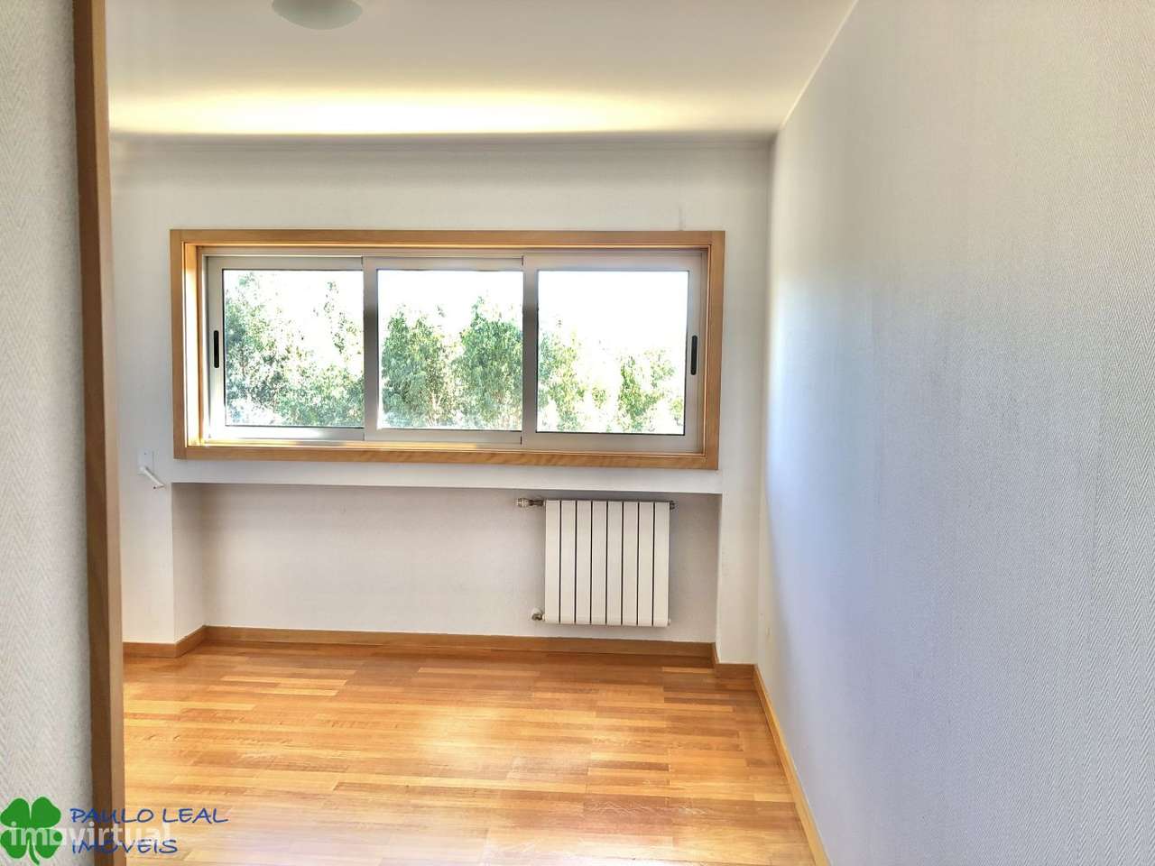 t2 como novo castelo maia-4