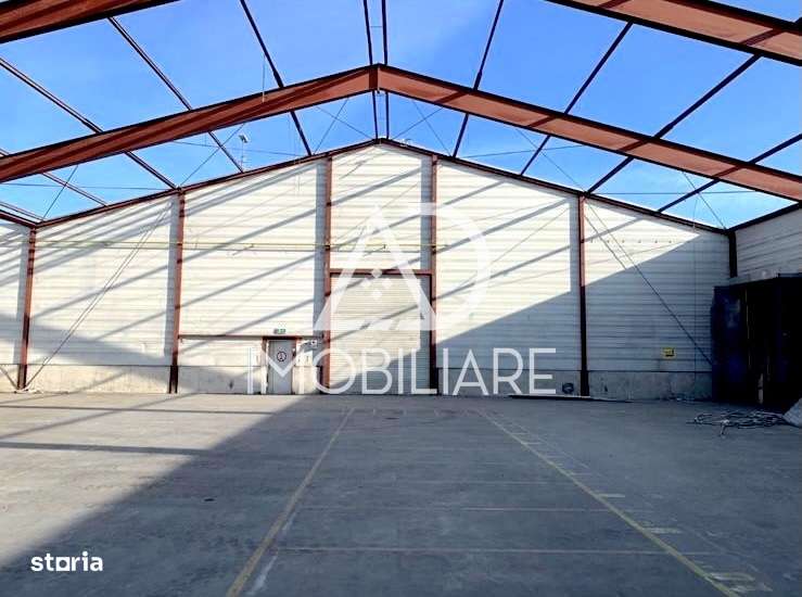 De vânzare structură metalică hală, Calea București, Târgu Jiu - Imagine principală: 3/6