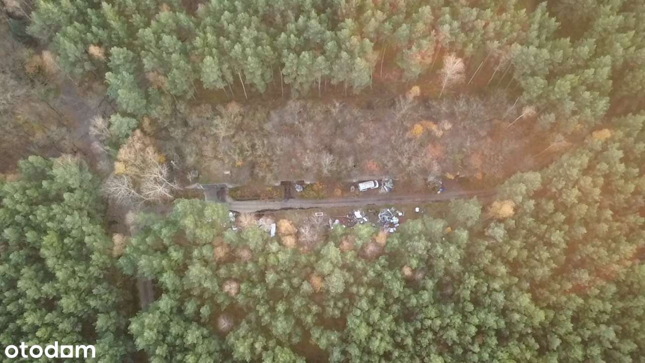 Działka inwestycyjna 1,666 ha - Brożek, Lubuskie-16