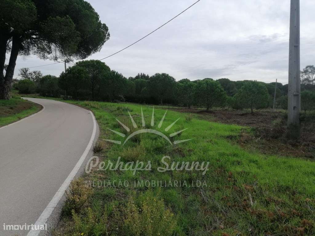 Terreno Rústico em Sobreiras Altas - Melides - Grande imagem: 3/11