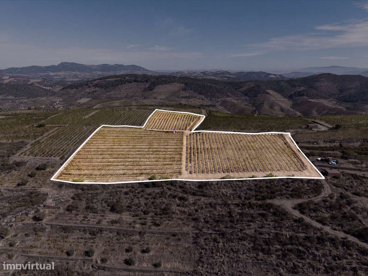 VINHA À VENDA EM MURÇA – REGIÃO DEMARCADA DO DOURO-0
