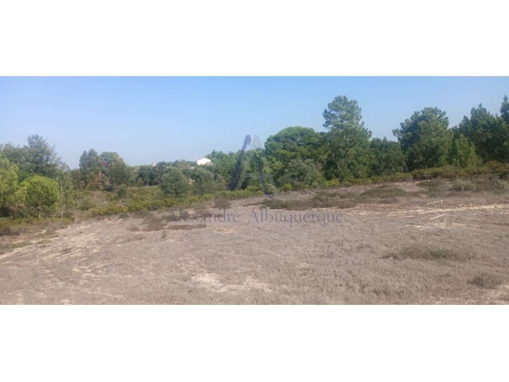 Terreno rústico com 1516 m2 - Grande imagem: 2/5