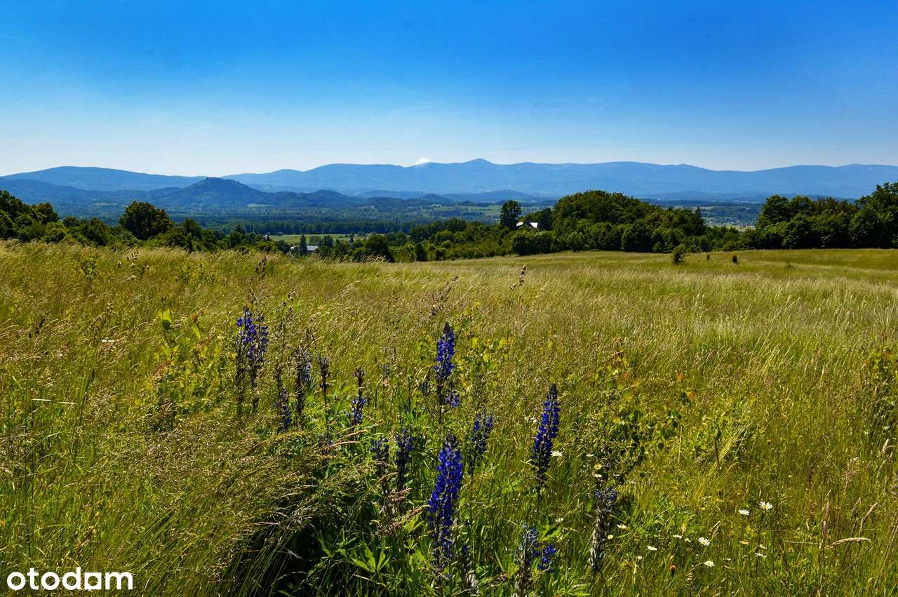 Komarno, działka z wyjątkowym widokiem na góry, możliwość zakupu kilku - Pełny obrazek: 5/12