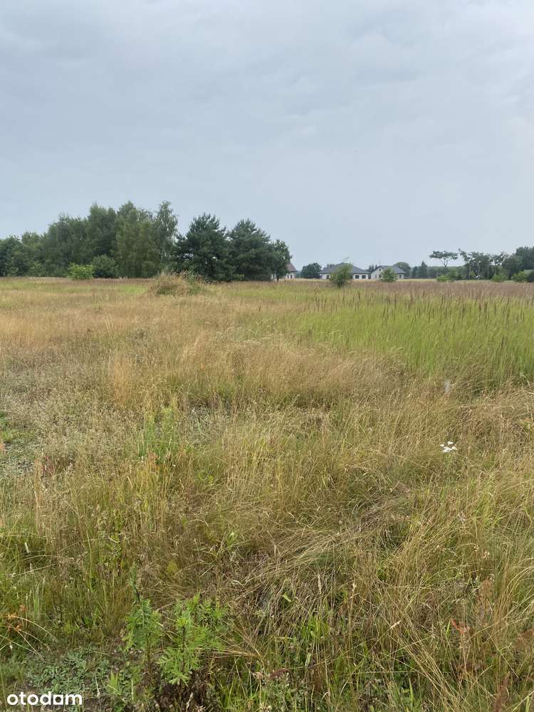 6 działek bud. po 1000mkw. każda w miejsc. URAZ gm. Oborniki Śląskie-11