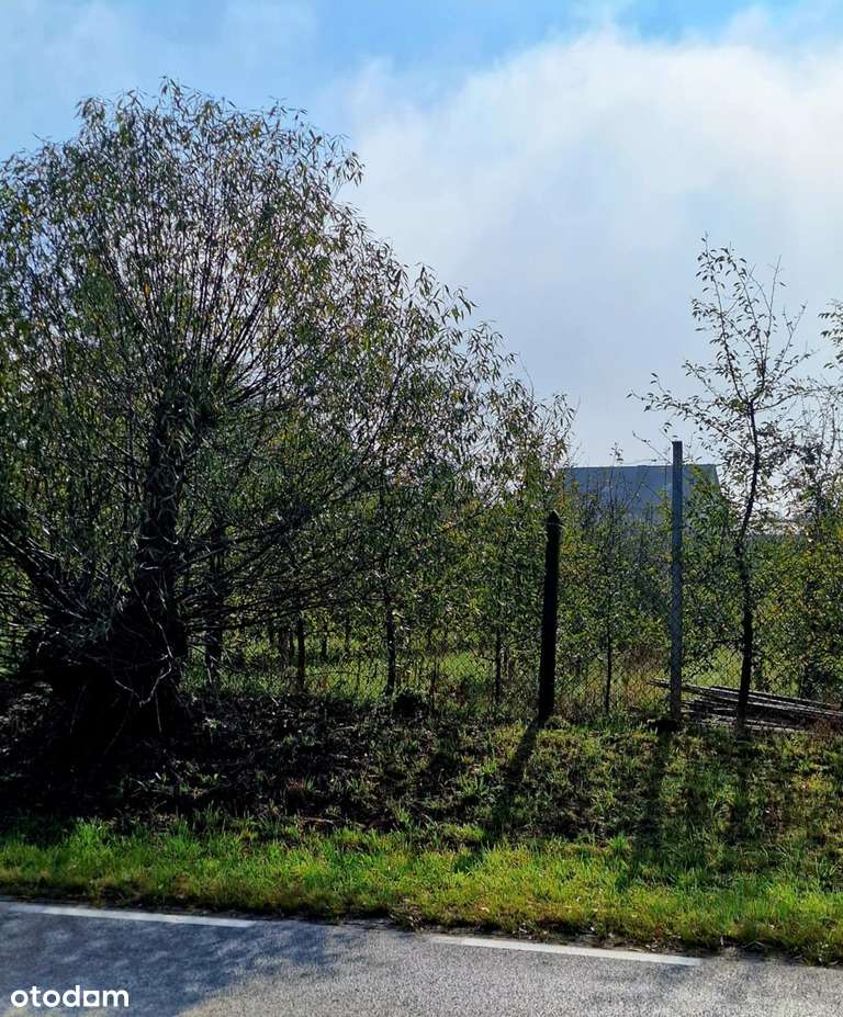 Działka usługowa 5100 m² – Doskonała lokalizacja-3