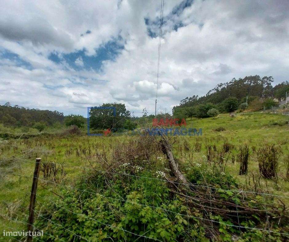 TERRENO RÚSTICO COM 1150 M2, SANTIAGO DO LITÉM - Grande imagem: 5/11