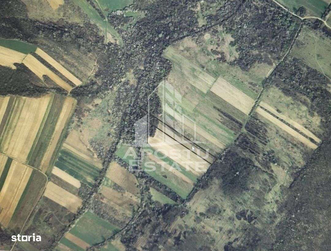 Teren mixt de 10.000 mp, ideal pentru investitie, Barsa - Imagine principală: 5/5
