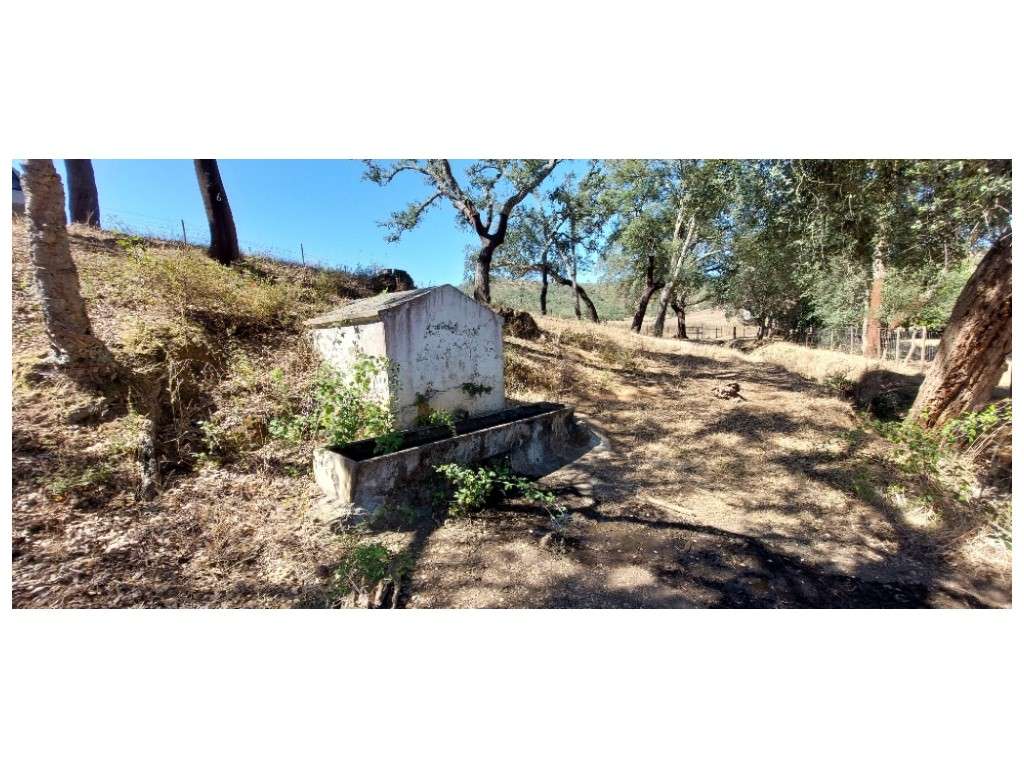 HERDADE 92 ha l Colos-43