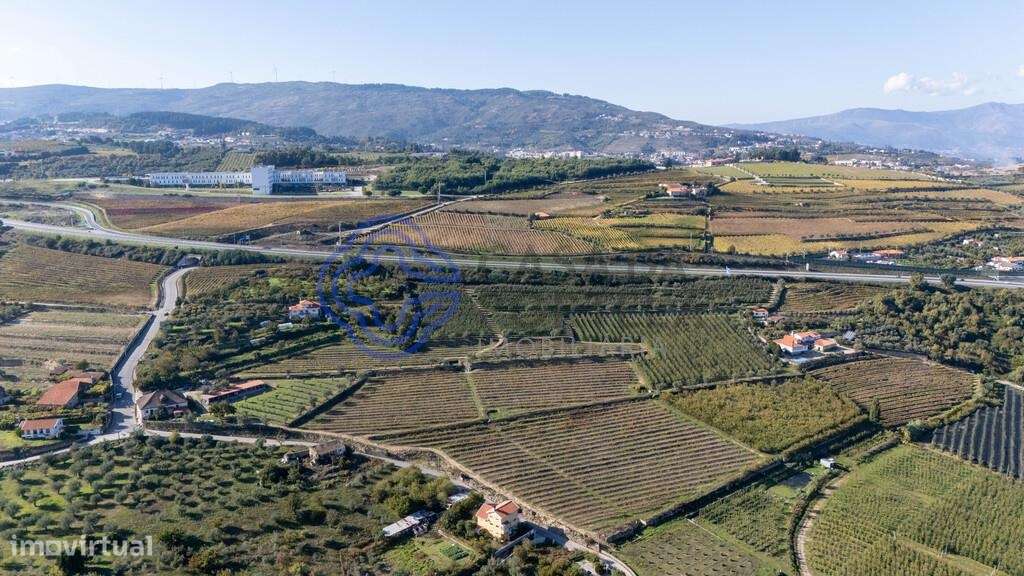 Quinta da Varanda em Lamego - Grande imagem: 1/60
