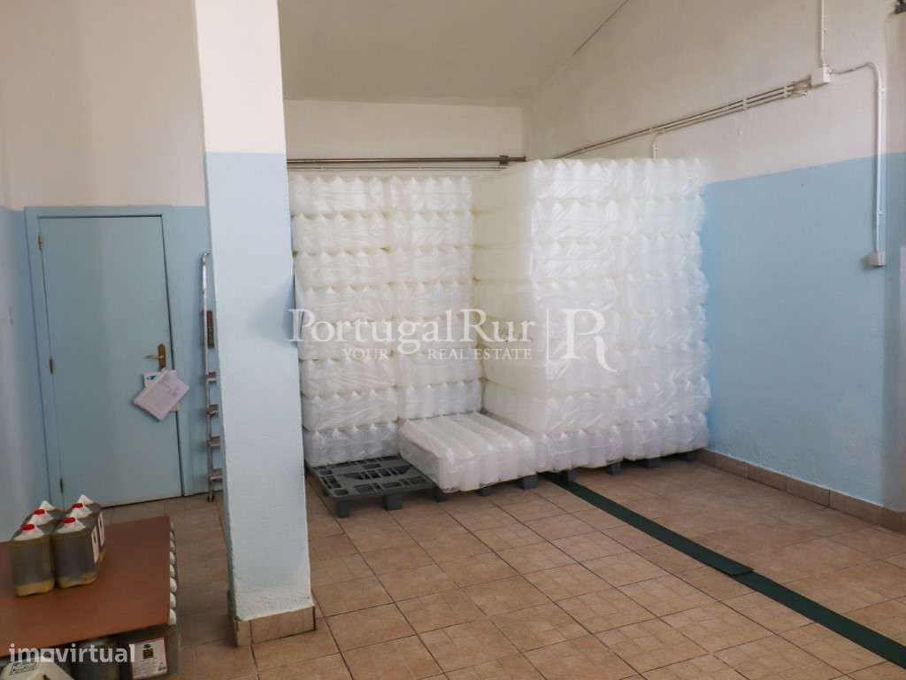 Unidade Industrial de Produção de Azeite & Elevado Potencial Produtivo-24