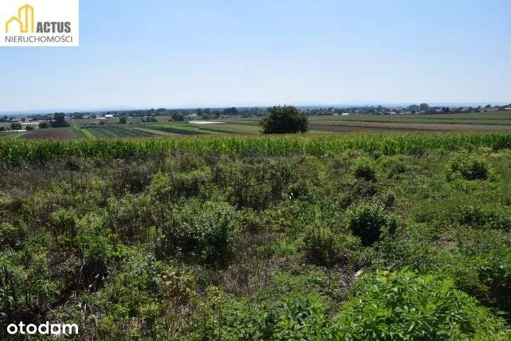 Działka 52 ar z widokiem na Tatry - Pełny obrazek: 3/7