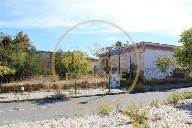 Quinta com cerca de 3979 m2 com área de construção de cerca de 1600m2 - Grande imagem: 3/4