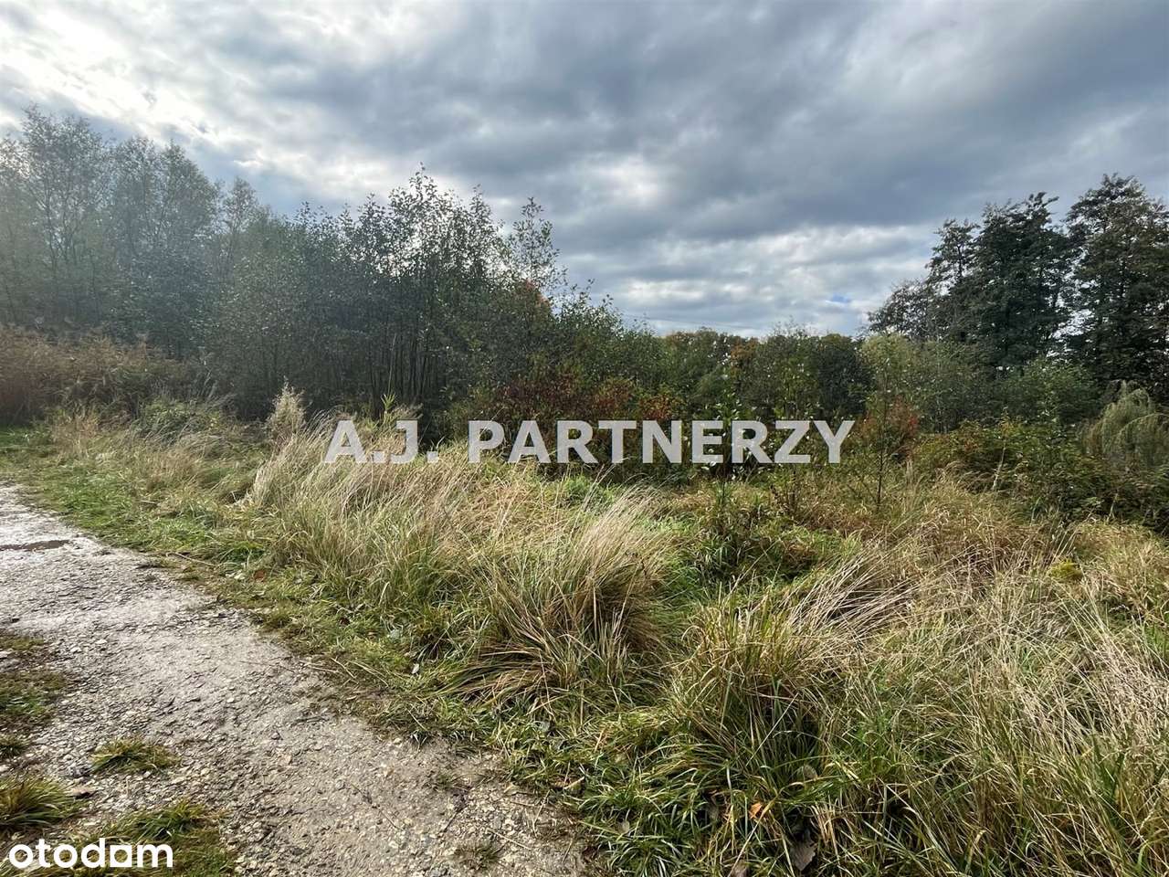 Działka budowlana w Rożnowej/Wieliczka-2