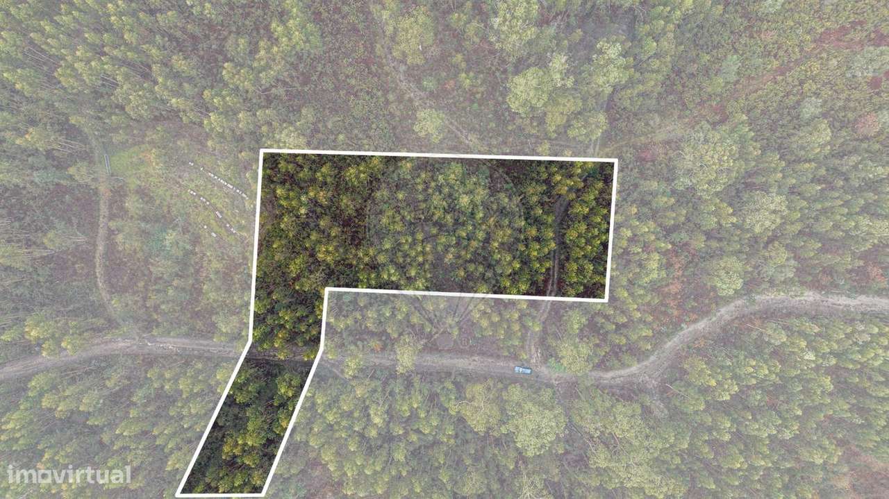 Terreno  para venda - Grande imagem: 2/19
