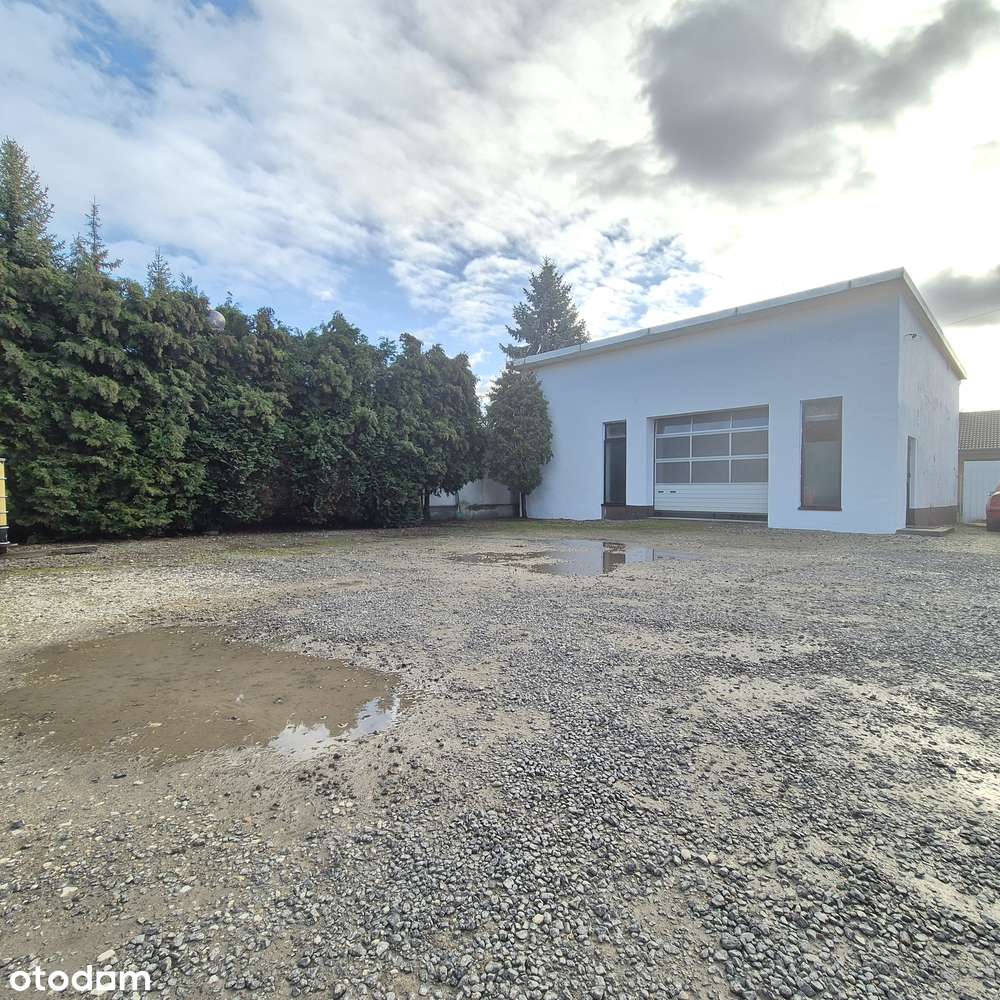 Hala Magazyn Lokal do wynajęcia  87m² z parkingiem Katowice - Pełny obrazek: 2/14