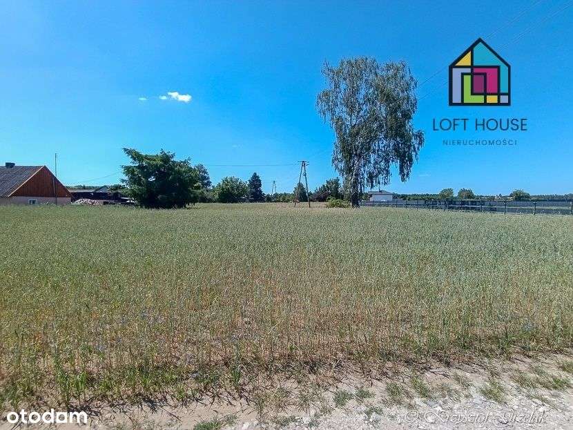 Działka, 3 000 m², Elgiszewo - Pełny obrazek: 5/6