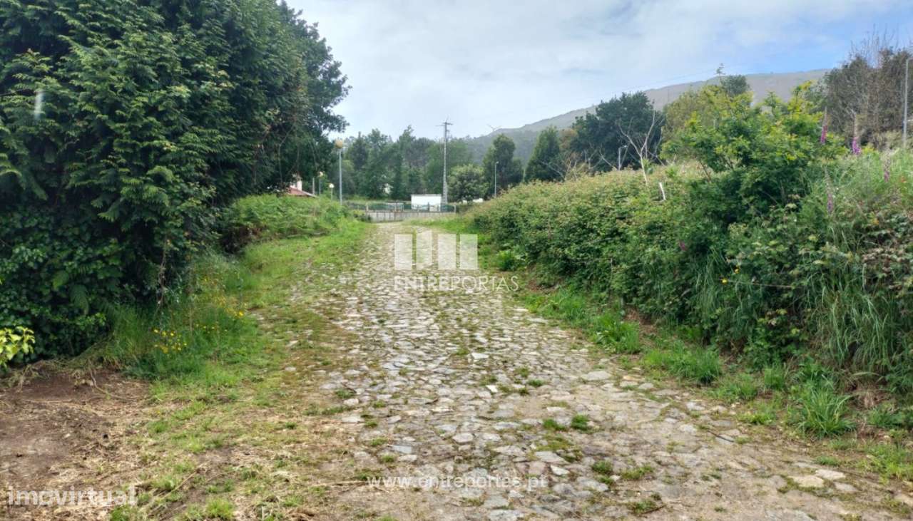 Terreno de construção para venda, Venade, Caminha - Grande imagem: 3/11