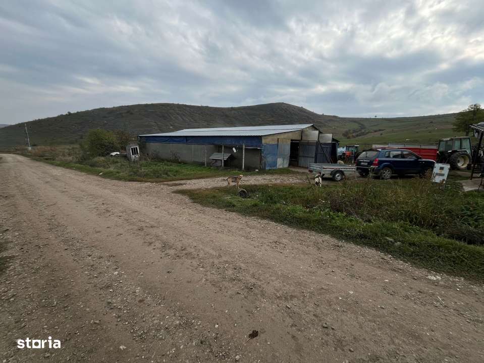 De vanzare ferma: hala de 500 mp.+teren 6500 mp, Frata - Imagine principală: 4/7
