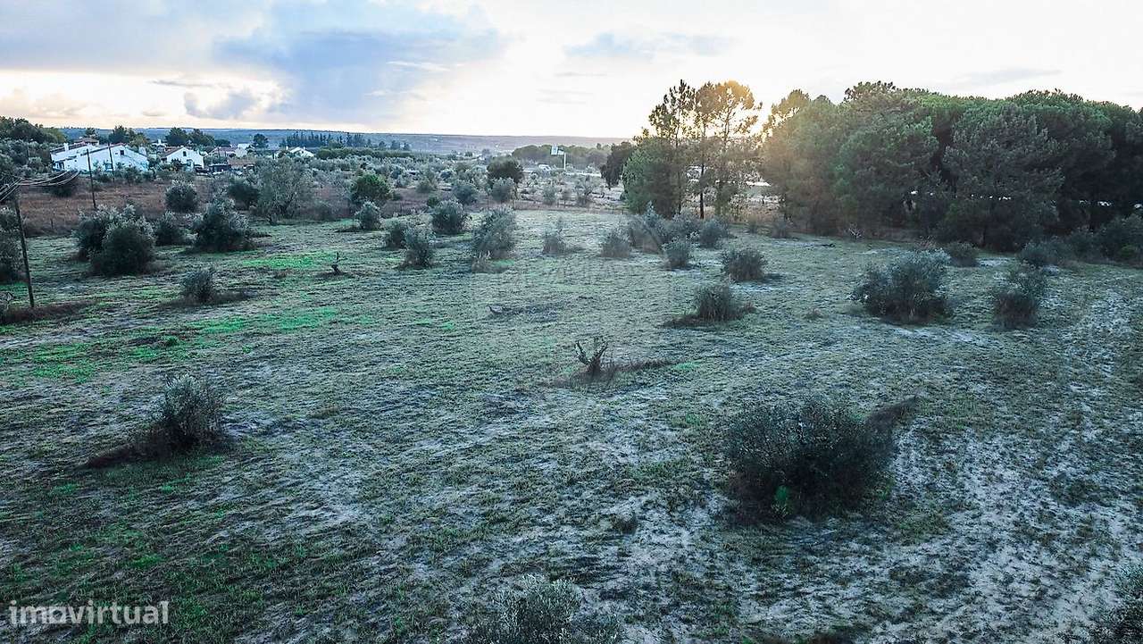 Terreno  para venda-8