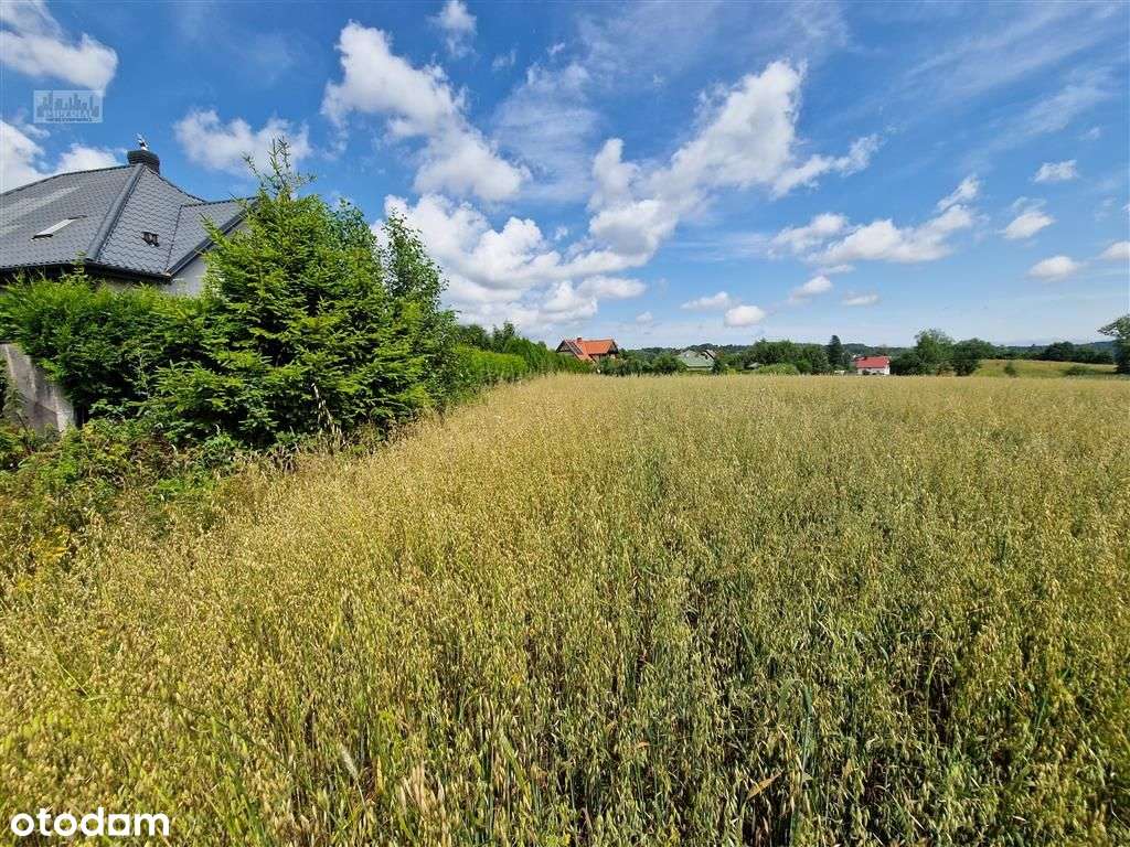Działka budowlana - Warzno - Pełny obrazek: 5/7
