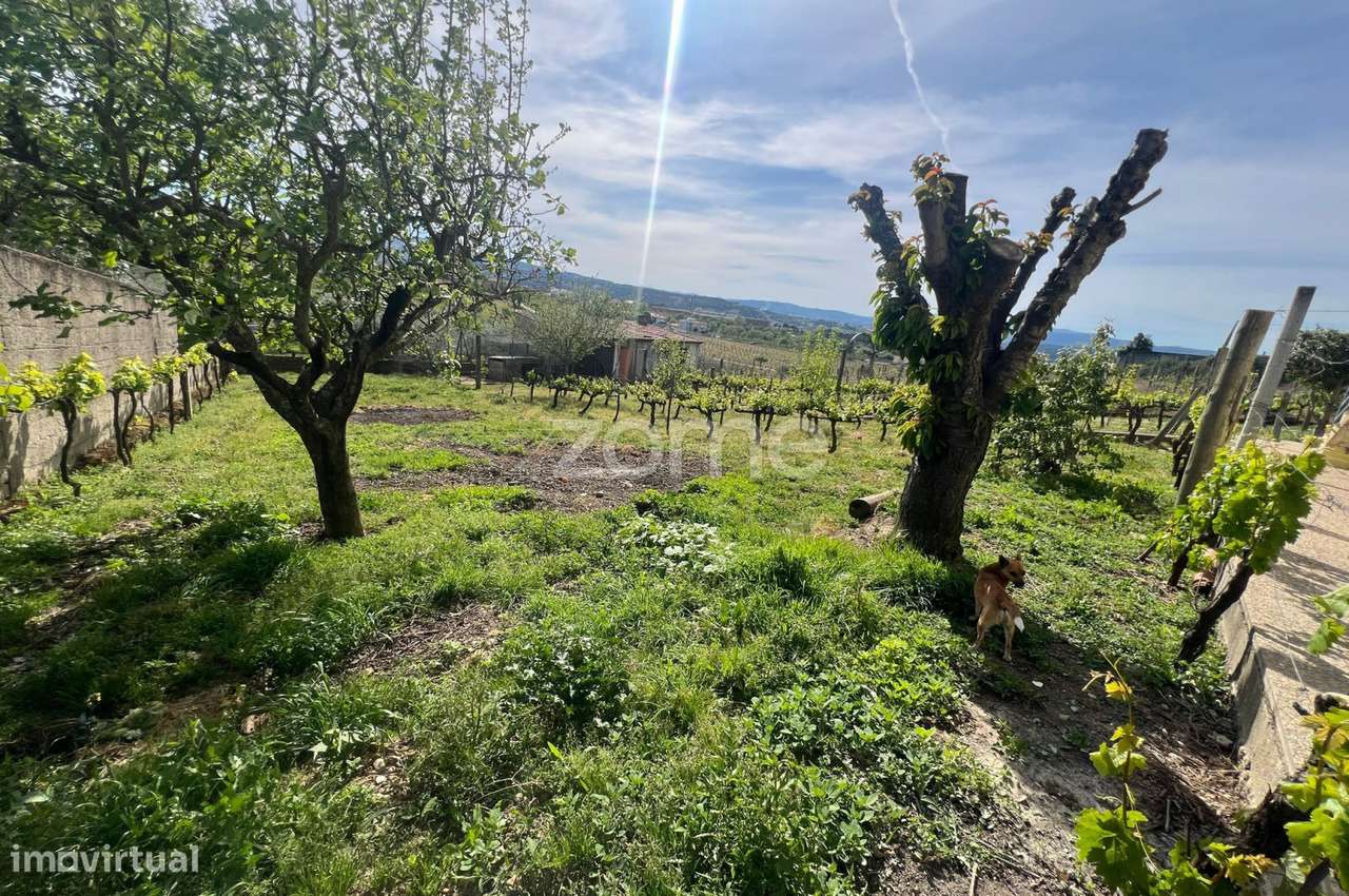 Moradia T4 a 5 min da cidade-18