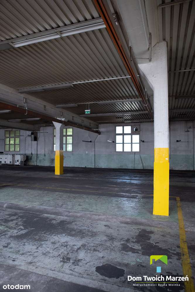 Hala-Magazynowo - Produkcyjna 3100,30m2 Bydgoszcz-9