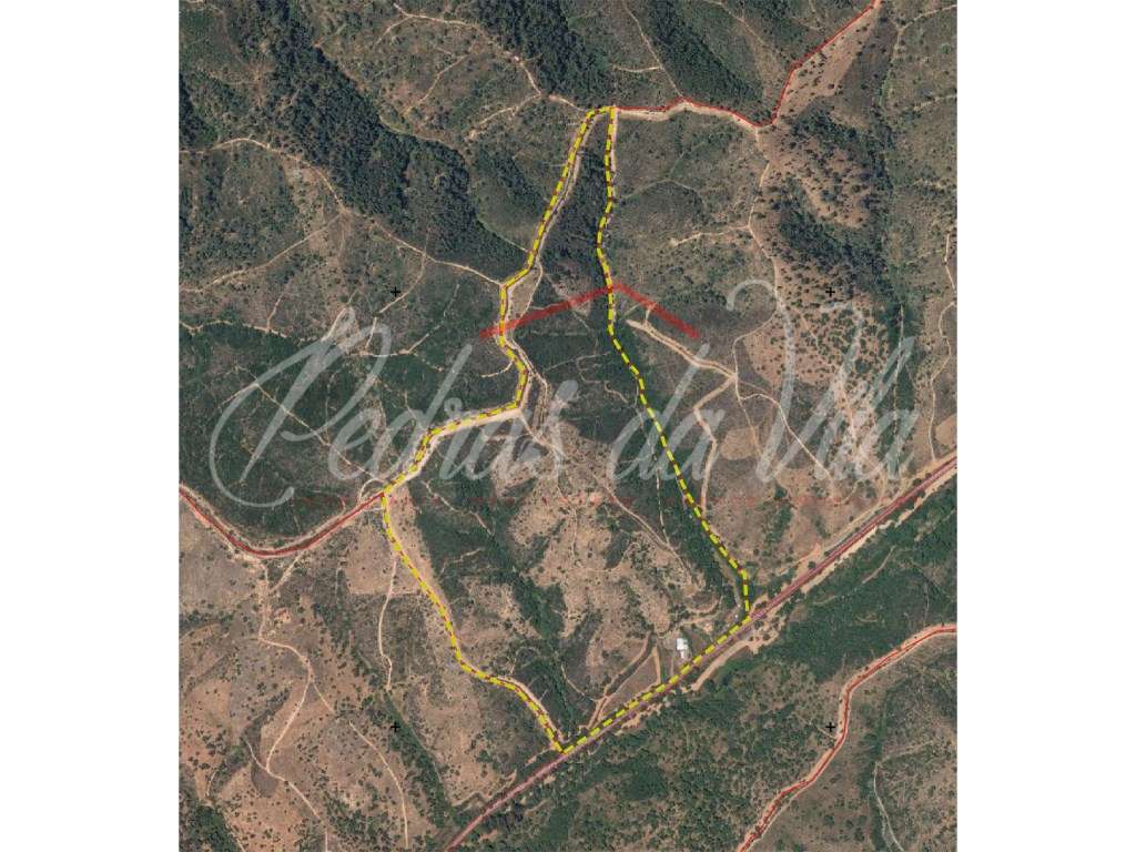Propriedade de 27ha com moradia de 84m2 e ruina de 90m2 - Odemira-28