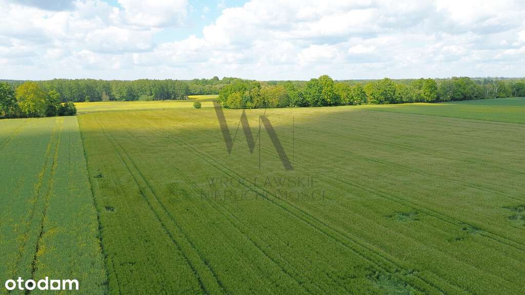 Działka inwestycyjna AG/6 – Cieśle, gmina Oleśnica-9