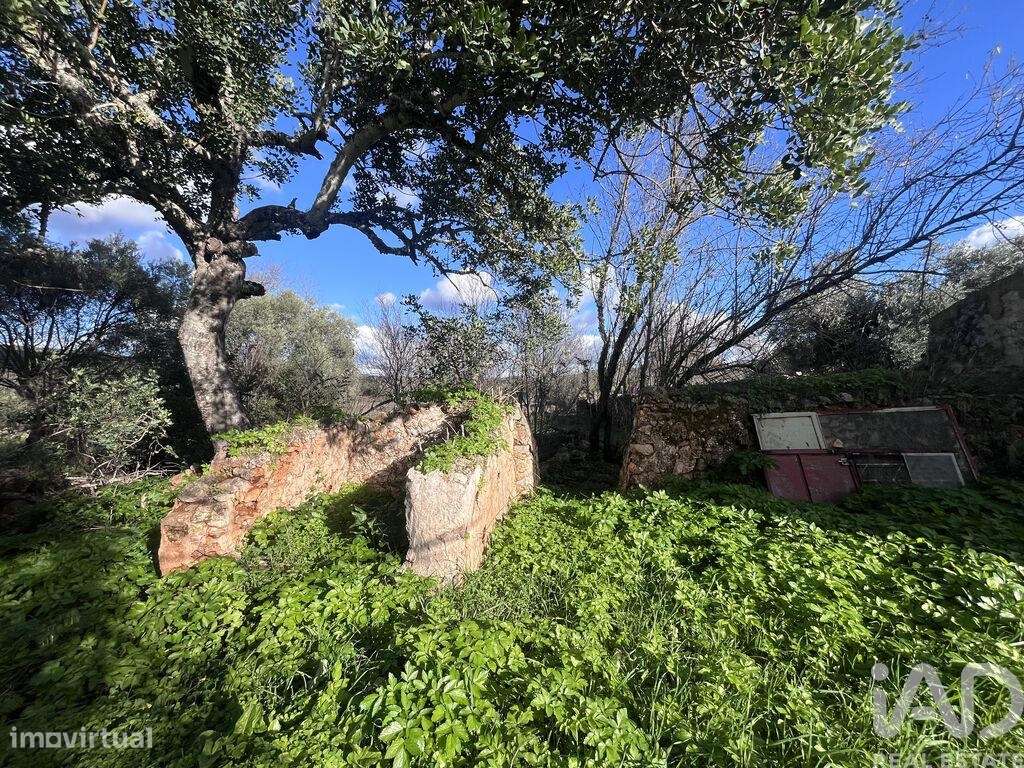 Terreno para construção em Querença, Tôr e Benafim - Grande imagem: 2/9