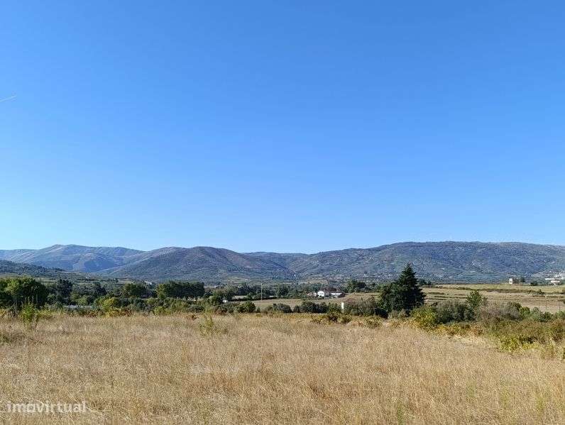 Quinta com Casa e 4 hectares, Belmonte - Grande imagem: 4/12