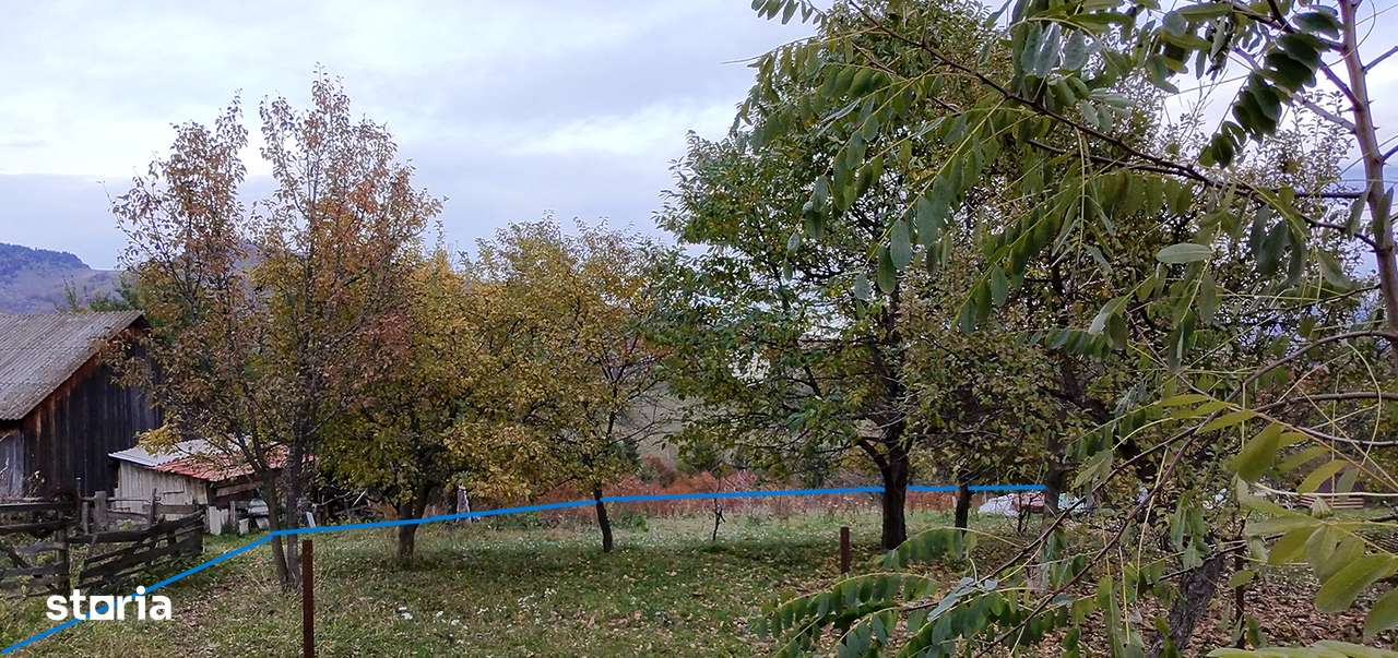 Teren, 3 456 m², -4