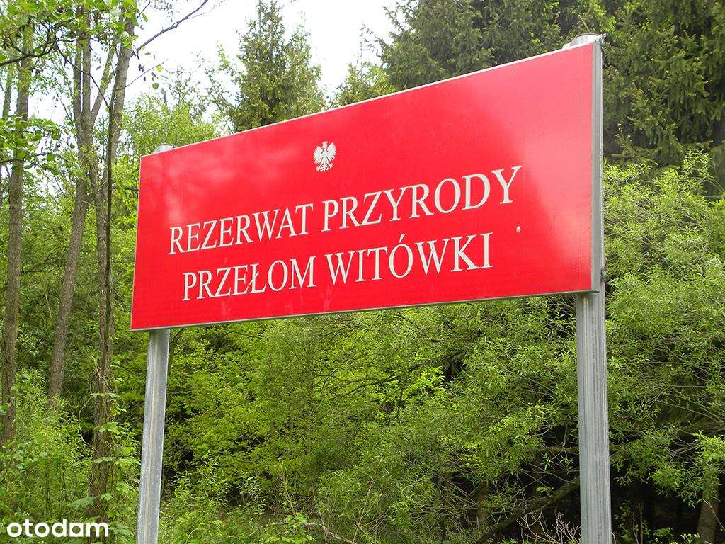 BEZPOSREDNIO! Urokliwe miejsce Las Media (prąd, woda i szambo) - Pełny obrazek: 4/11