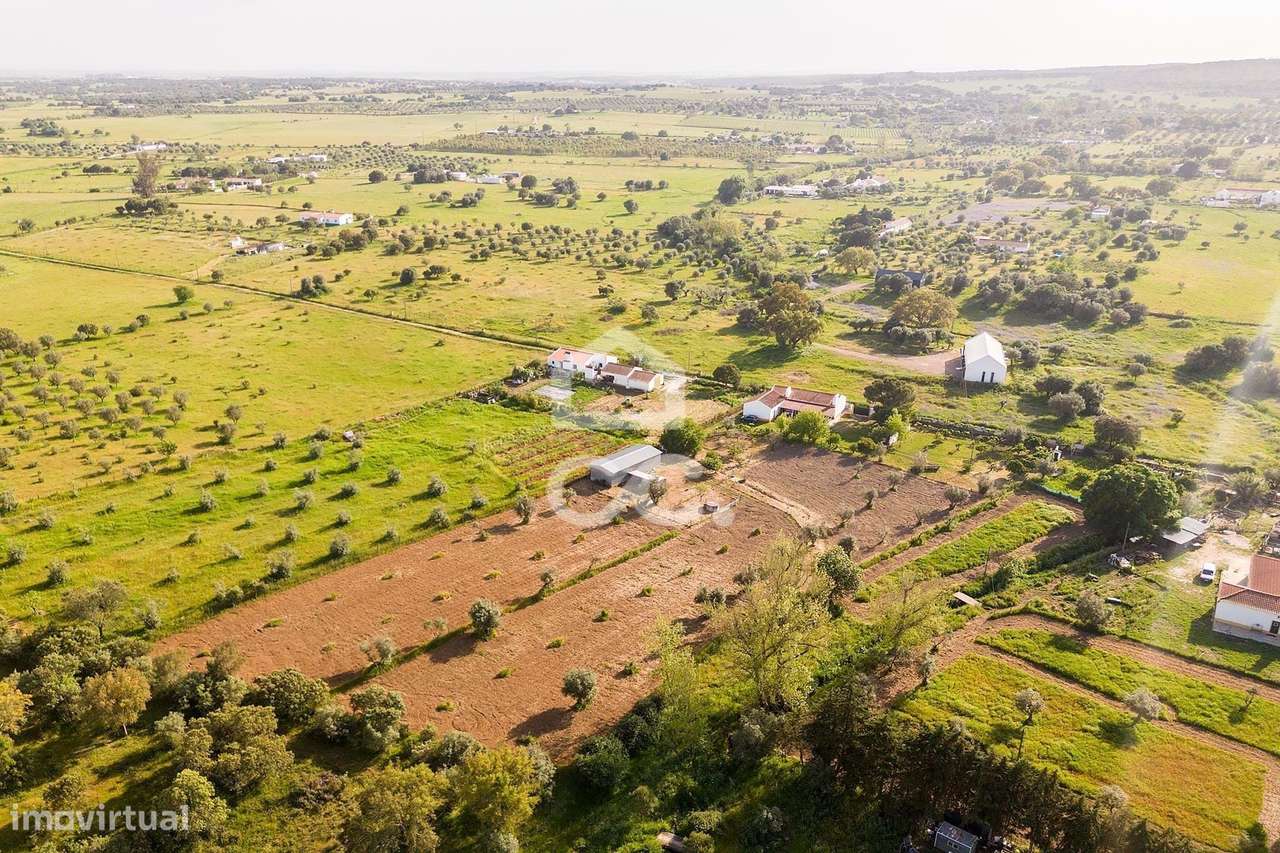 Quinta de 9250m2 c/ Moradia T4 térrea, anexo e armazém | Azaruja-45