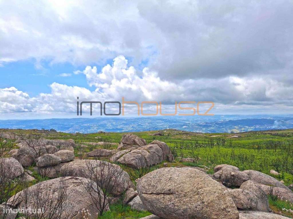 Terreno de 84 hectares-41