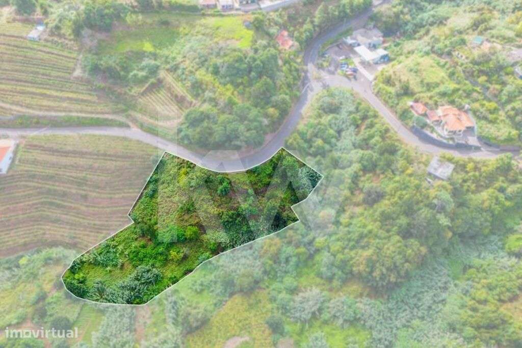 Terreno com 3830m2, para construção em Santana| Freguesia de S.Jorge ( - Grande imagem: 4/14