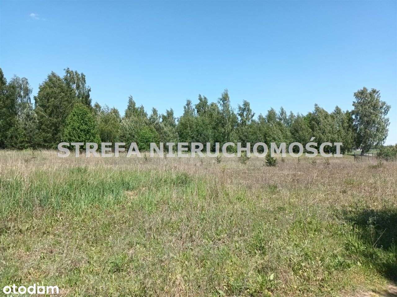 Lubiaszów Stary ! Działka W Otoczeniu Przyrody - Pełny obrazek: 4/6