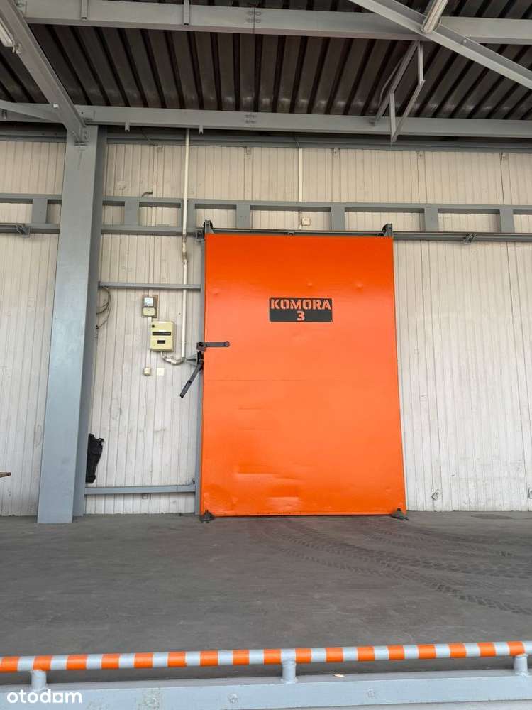 Chłodnie lub mroźnie na wynajem -20 stopni - Pełny obrazek: 4/6