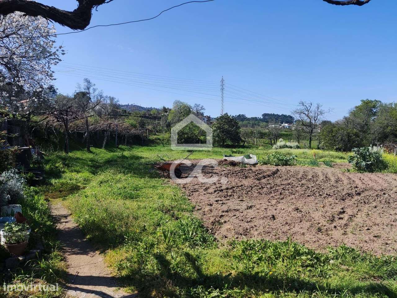Quinta, Termas de São Vicente, Penafiel-19