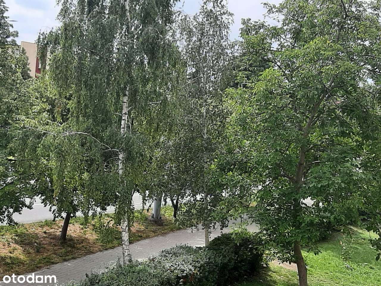 Mieszkanie na sprzedaż Przyjaźni do remontu - Pełny obrazek: 4/19