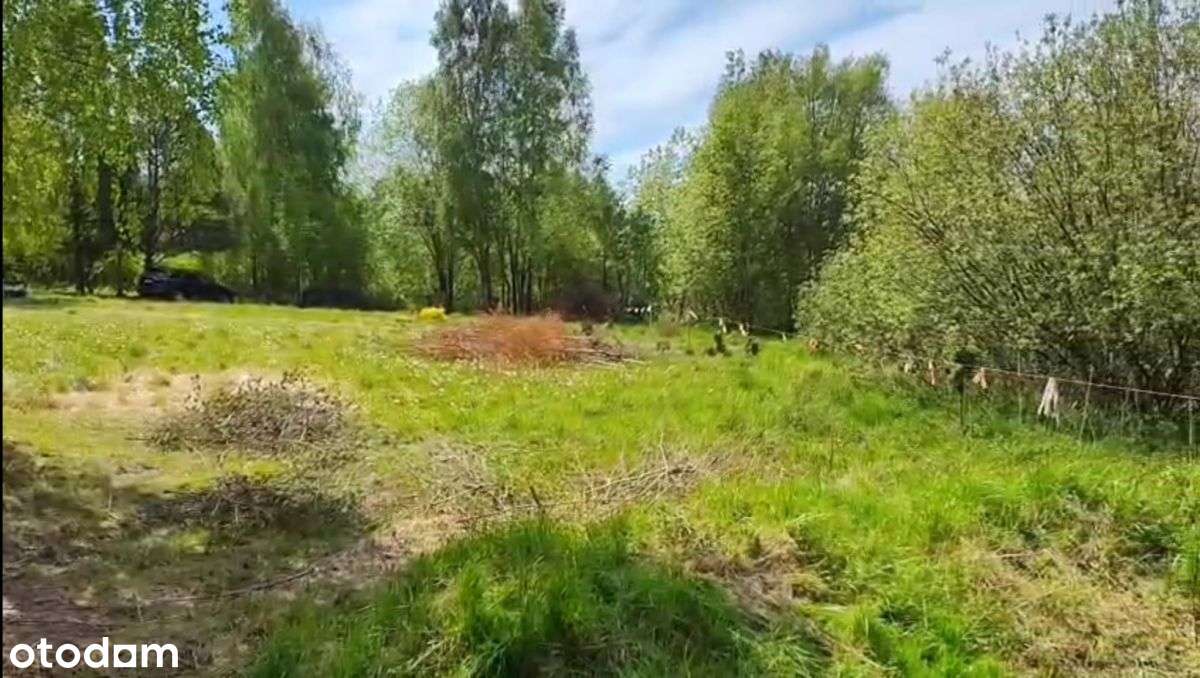 Duża działka przy lesie z widokiem na staw / WZ-4