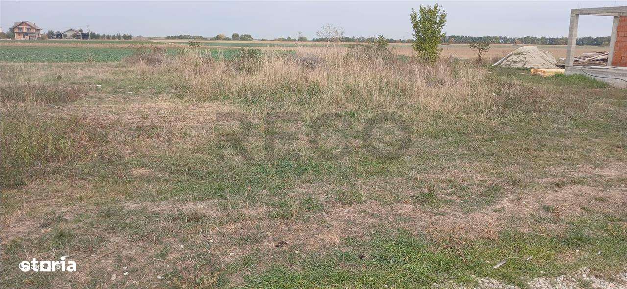 RECO Teren intravilan in Tarian - Imagine principală: 4/4