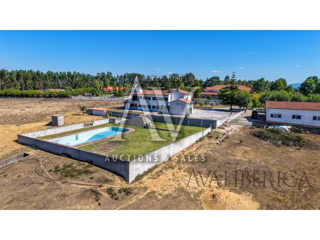 Quinta com 3,14 Hectares e Piscina | Ferreira do Zêzere-6