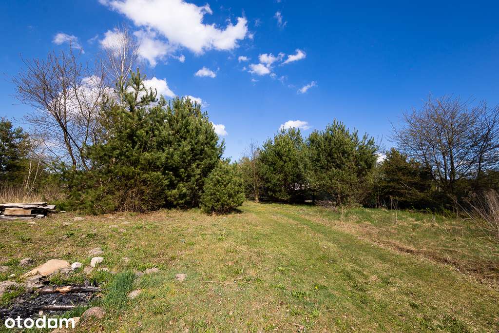 w stanie deweloperskim, na działce o pow. 3 490 m2 - Pełny obrazek: 3/13