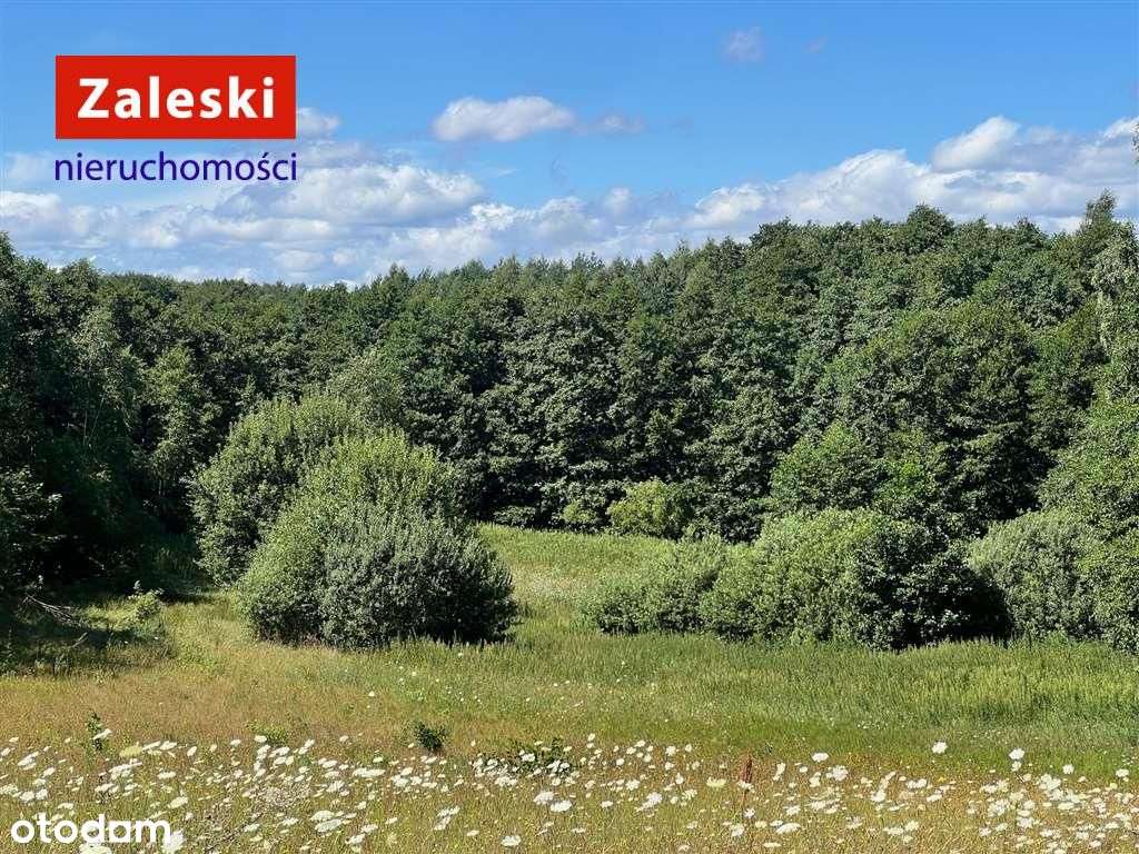 Działka z wydaną Wz - Szczodrowo - Pełny obrazek: 5/11