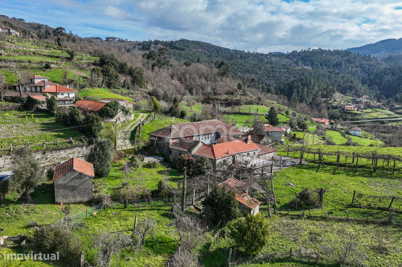 Quinta Com 74 400 M2 Em Penalonga Ribeira De Pena Vila Real
