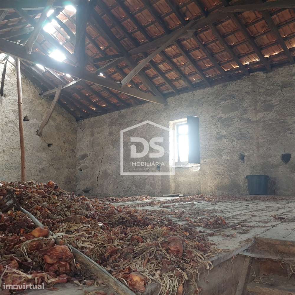 Lote de Terreno  Venda em Juncais, Vila Ruiva e Vila Soeiro do Chão,Fo-20