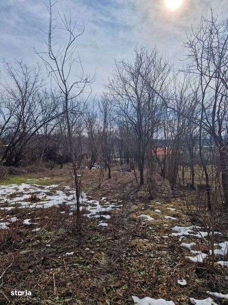 Teren vanzare Harsa - Imagine principală: 5/7