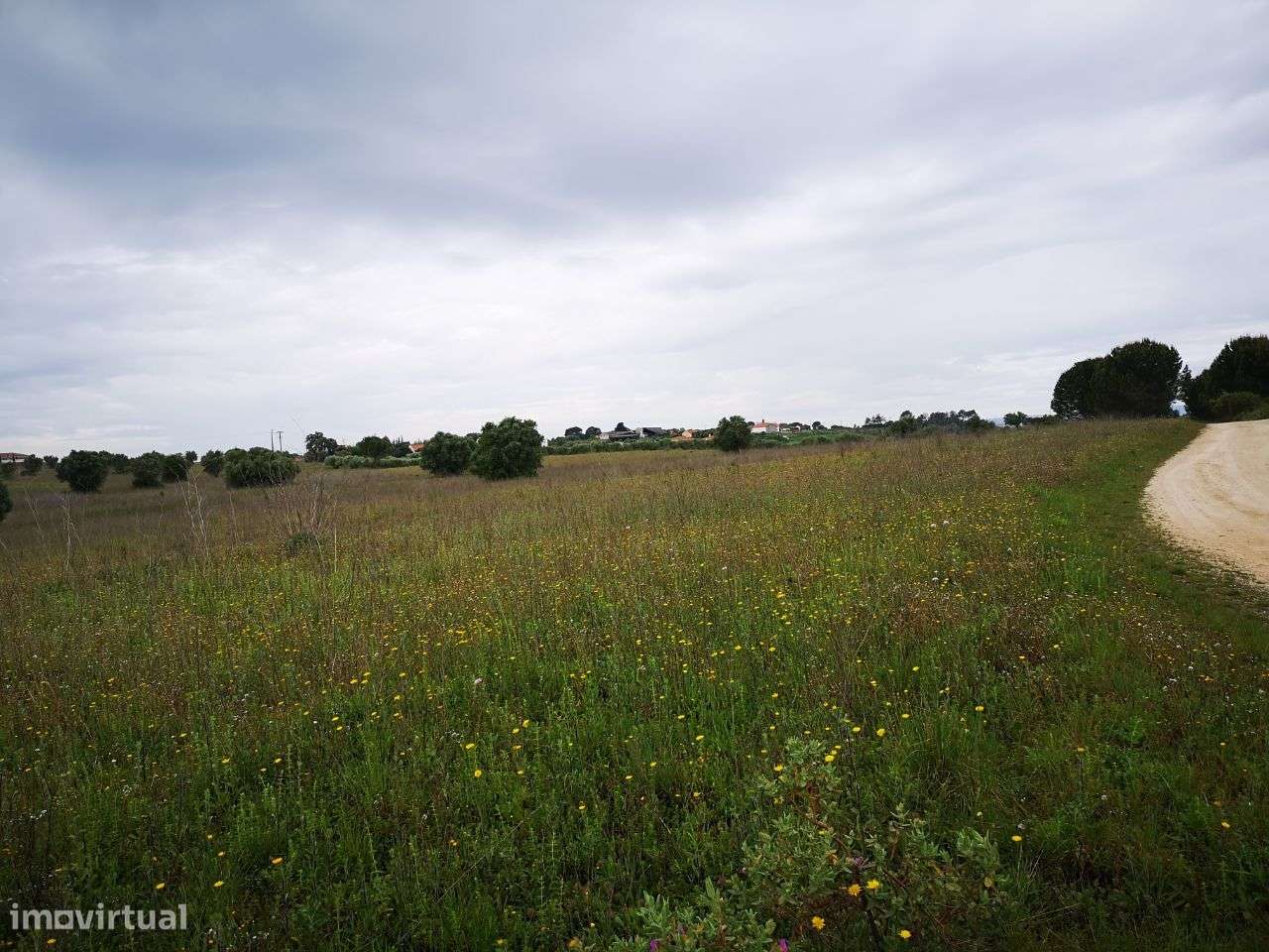 Terreno 57ha Santarém-7