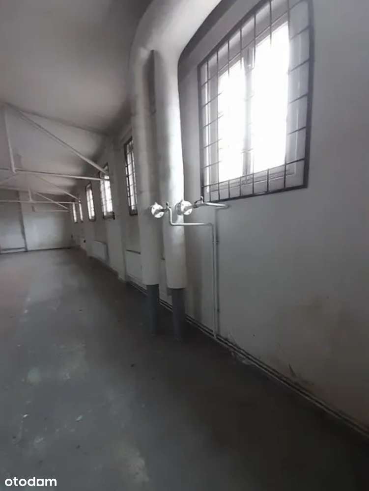 Lokal o pow. 233,31 m2 w Stargardzie, ul. Dworcowa 2 - Pełny obrazek: 5/7